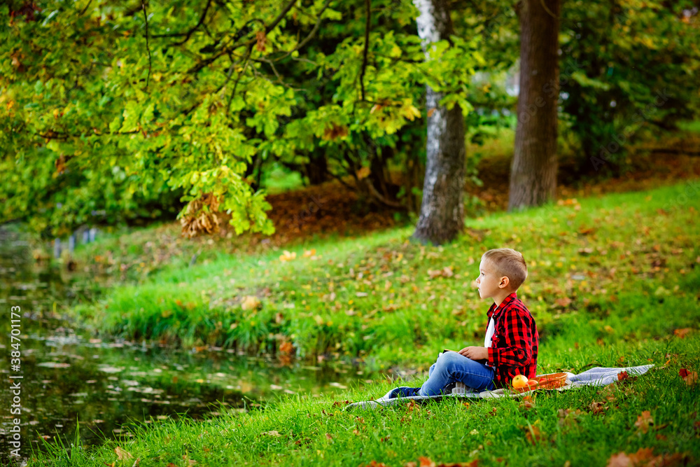Portrait of a boy on a picnic in an autumn Park with red apples. The child sits on the ground and looks at the lake.