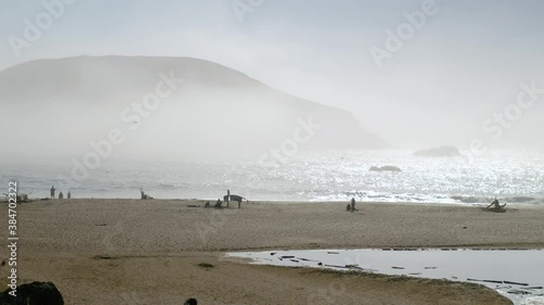 Birds Fly through dramatic thick Fog covering Bird Island from Harris Beach, Oregon, Daytime photo