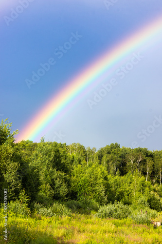 Rainbow over the summer mixed forest, cloudy sky and clear rainbow colors, forest road. Natural landscape. Rainbow colors after rain. Rain clouds.