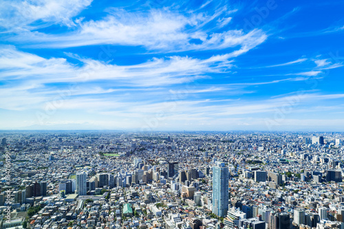 東京 都庁から眺める都市風景