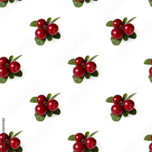 Seamless pattern on a white background. Lingonberry berries and leaves