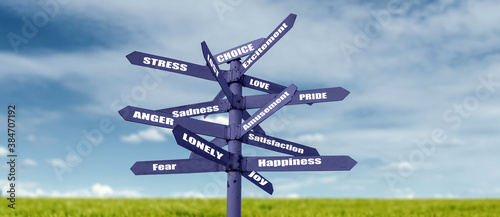 sadness and happily choices directory concept.