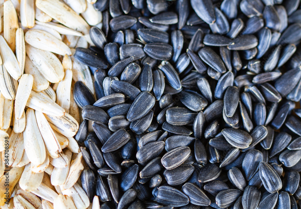 White and black sunflower seeds, top view White and black sunflower seeds, top view