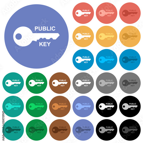 Public key round flat multi colored icons photo