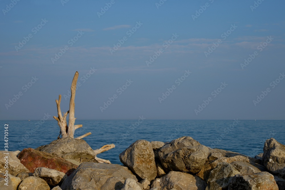 Huge stones and wooden logs on the sea shore. Stones, wood and blue sea level. Sky with light clouds. Dry tree on the sea shore.