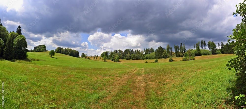 View of a green mountain meadow surrounded by trees, in the background a sky full of clouds. Sunlit pasture for cows. Road through a green meadow. Horizon with trees, blue sky and storm clouds. View of a green mountain meadow surrounded by trees, in the background a sky full of clouds. Sunlit pasture for cows. Road through a green meadow. Horizon with trees, blue sky and storm clouds.