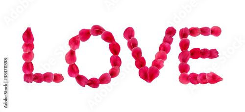 Word Love laid out from bright pink tulip, rose or peony petals isolated on white background. Passionate romantic design element for valentine cards, wedding invitations, etc.