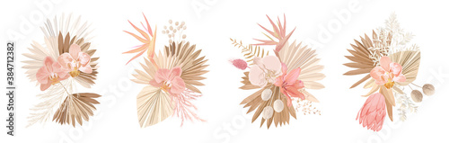 Elegant Dry flowers, palm leaves, pale orchid, protea, eucalyptus, dried tropical leaves, floral elements. Trendy winter