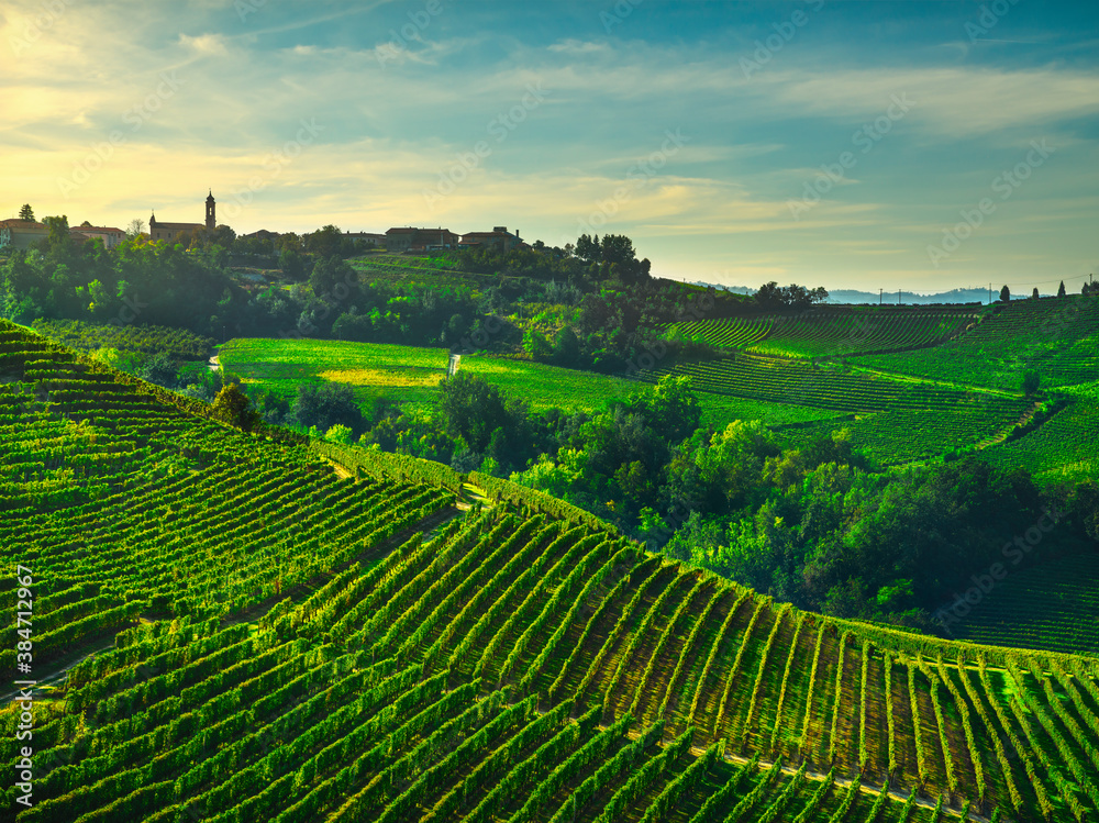 Treiso village and Langhe vineyards, Piedmont, Italy Europe.