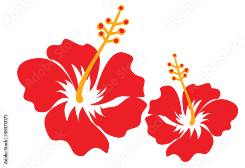 set of hibiscus isolated on white background vector design illustration 