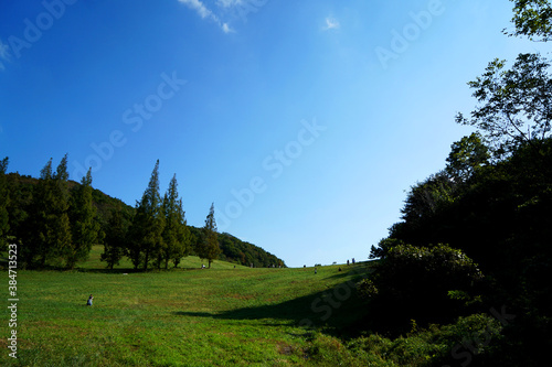 Beautiful fields in Korea on October 9, 2020