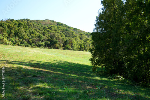 Beautiful fields in Korea on October 9, 2020