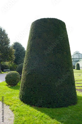Trimmed bushes and geometric trees in the garden.