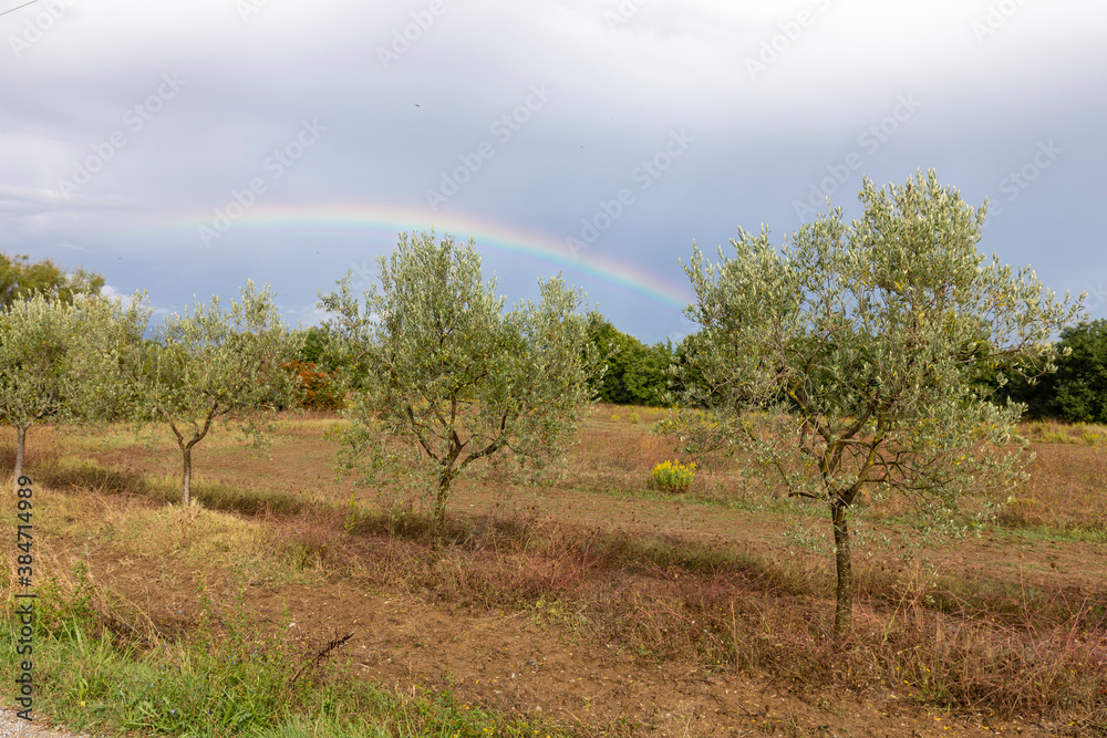 Regenbogen in der Toskana