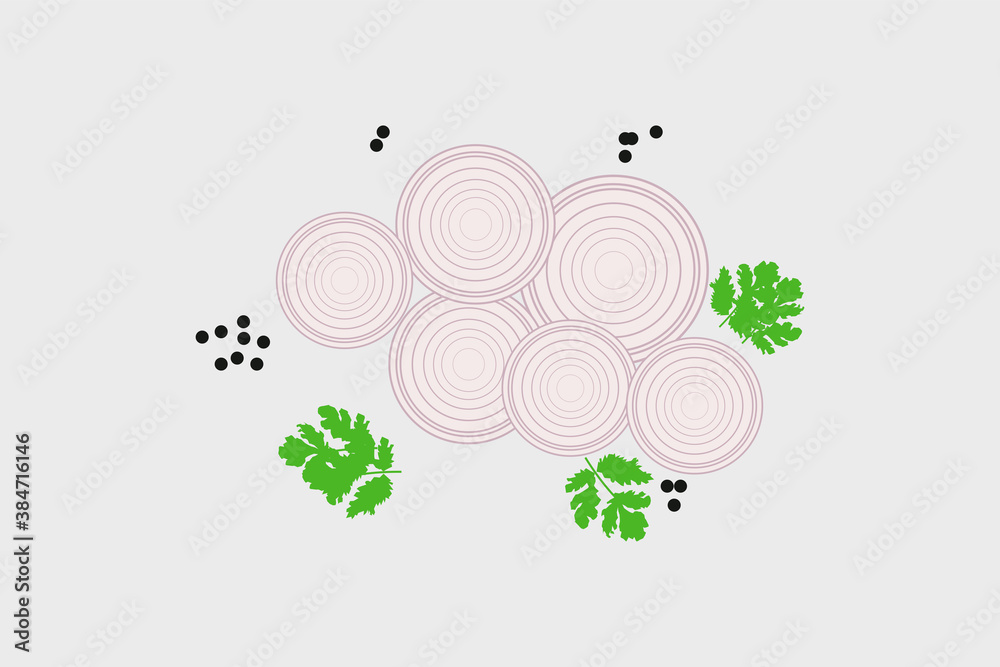 onion slices with mint leaves and peppercorns vector illustrator onion slices with mint leaves and peppercorns vector illustrator