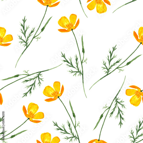 seamless pattern with watercolor drawing californian poppy