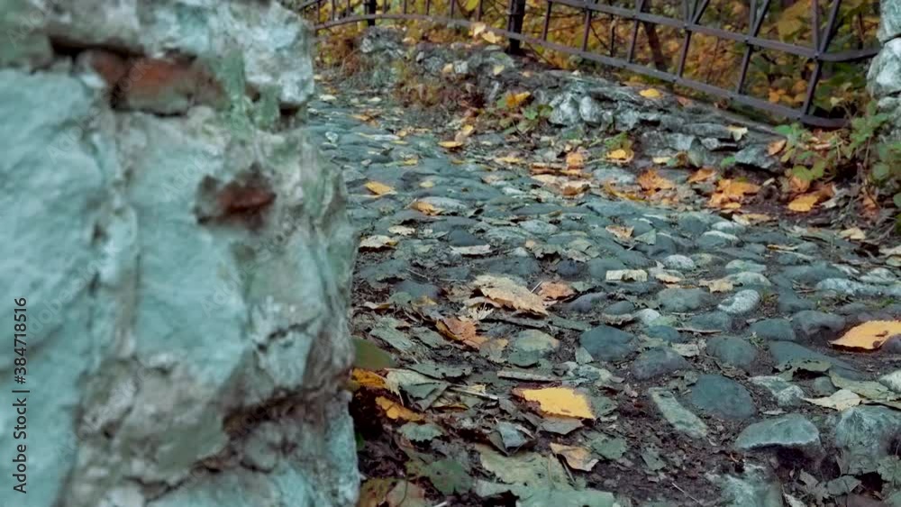 Abandoned old bridge in the autumn forest. Abandoned old bridge in the autumn forest.