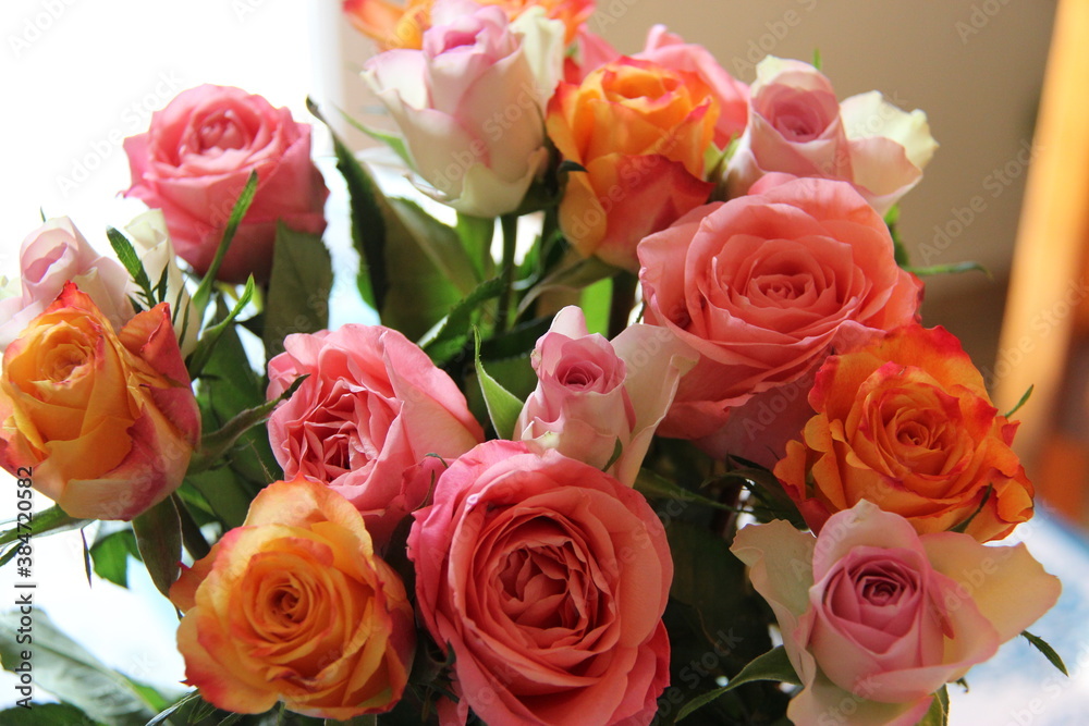 Roses rose orange blanche pastel