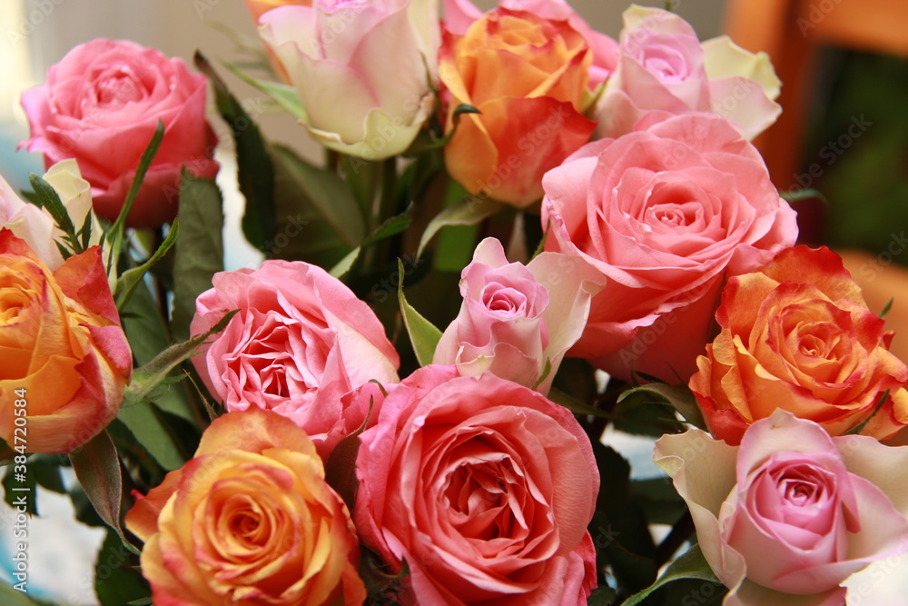 Roses rose orange blanche pastel