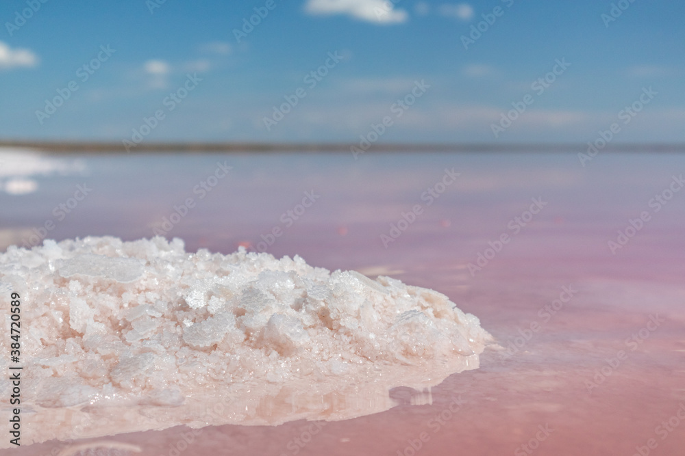 Salt pink crystals bunch close-up shining on lake coast with pink water surface reflection on sunny day. Spa recreation on Syvash or Sivash, the Putrid Sea or Rotten Sea, Ukraine Salt pink crystals bunch close-up shining on lake coast with pink water surface reflection on sunny day. Spa recreation on Syvash or Sivash, the Putrid Sea or Rotten Sea, Ukraine