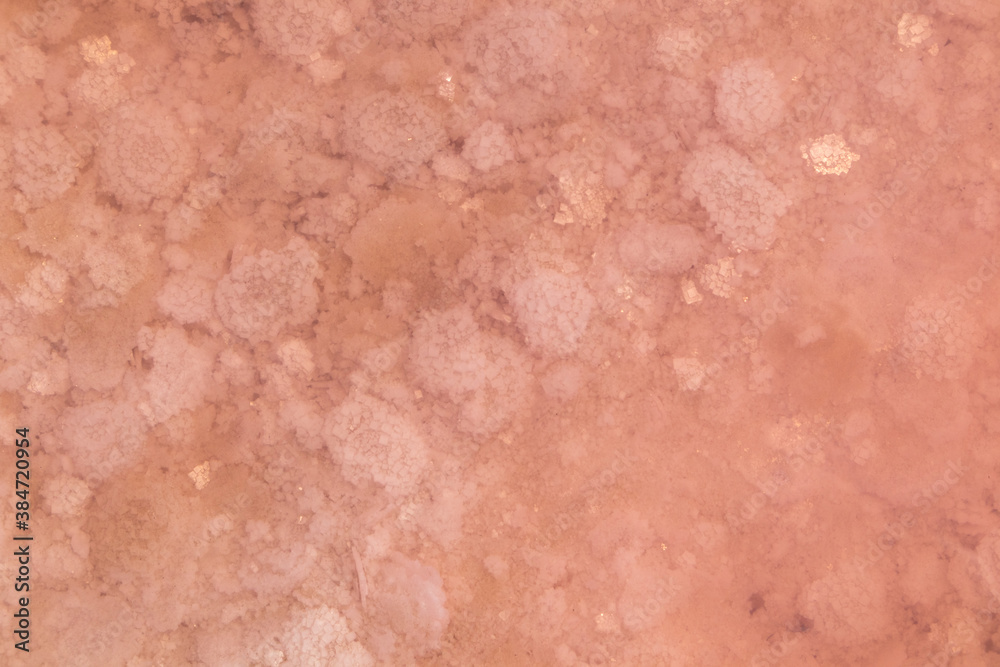 Fototapeta premium Pink salt flakes close-up top view under pink water surface. Healthy spa resort on Syvash or Sivash, the Putrid Sea or Rotten Sea, Ukraine