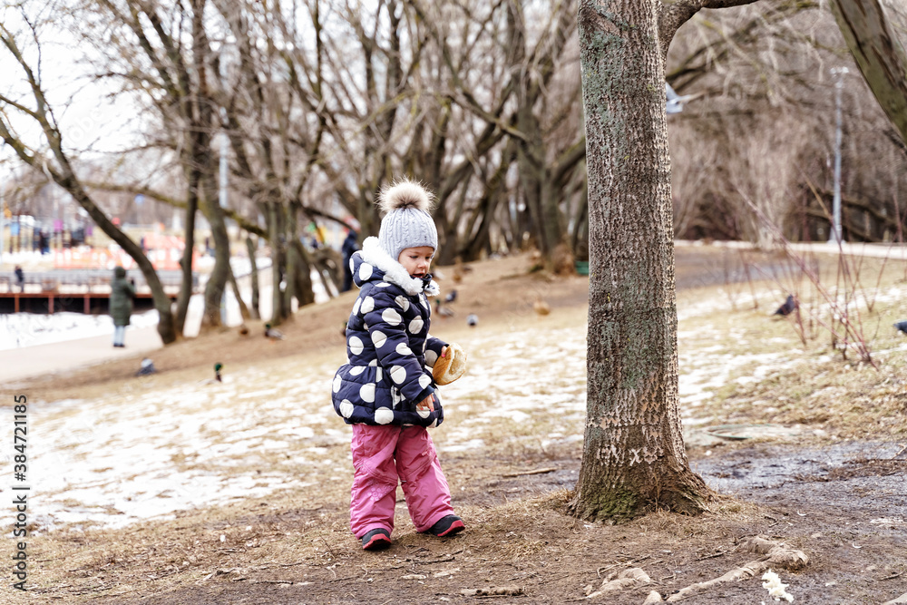 little girl feeding pigeons in winter in the park little girl feeding pigeons in winter in the park