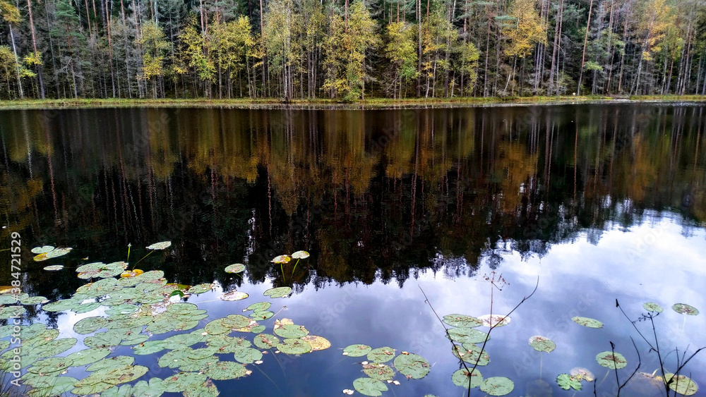forest lake with clouds reflecting in it. Calm autumn landscape. forest lake with clouds reflecting in it. Calm autumn landscape.