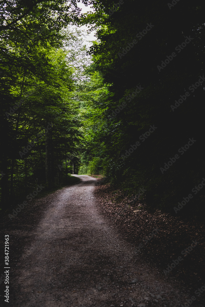 Obraz premium Viajar aventura