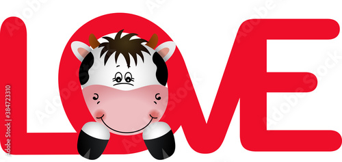 Cute face of cow peeking on word love


