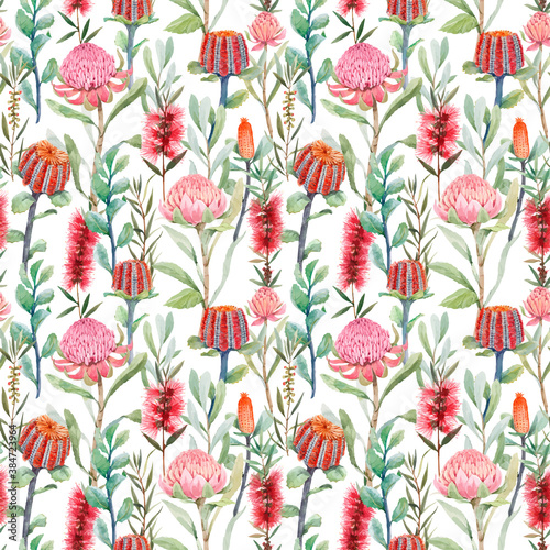 Beautiful vector seamless floral pattern with watercolor summer protea and australian banksia flowers. Stock illustration.