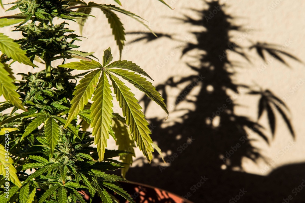 Fototapeta premium naturaleza viajes