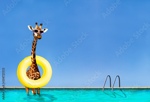 Sticker Funny photo of giraffe stand with inflatable doughnut in swimming pool over sky
