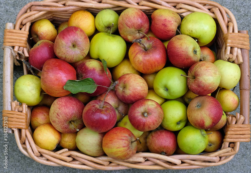 Organic home grown apples 