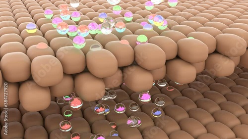 Skin drug penetration Body health care Skin care 4k