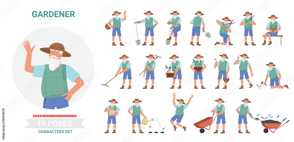 Fototapeta premium Gardener working poses infographic vector illustration set. Cartoon flat elderly bearded man worker farmer character planting and harvesting in different postures, farm garden work isolated on white