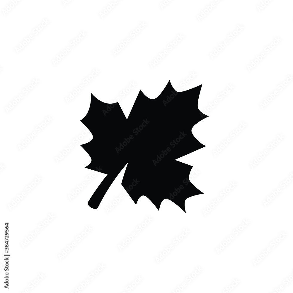 Fototapeta premium Maple leaf icon vector