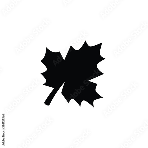 Maple leaf icon vector