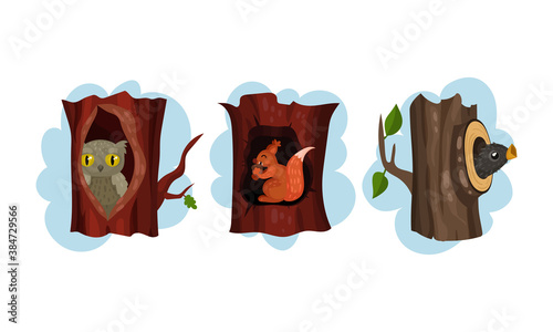 Funny Animals Sitting in Tree Hollow Vector Set