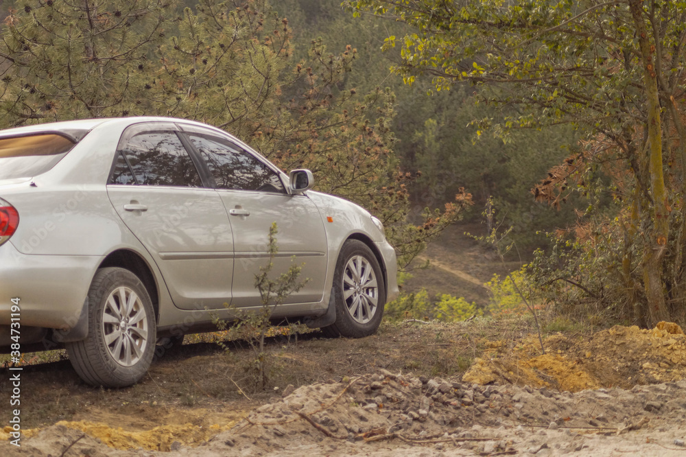 Car in the forest, perspective is visible, soft focus Car in the forest, perspective is visible, soft focus
