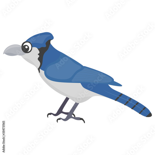 
Blue fowl depicting blue jay image 
