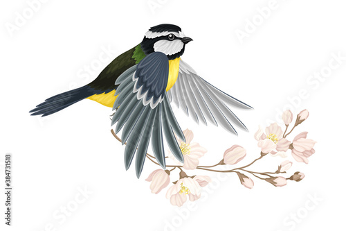 Great Tit with Black Head and Yellow Body Flying Towards Apple Blossom Branch Vector Illustration © Happypictures