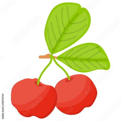  Lingonberry in red fresh color  