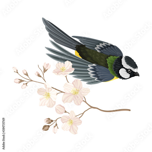 Great Tit with Black Head and Yellow Body Flying Towards Apple Blossom Branch Vector Illustration