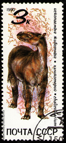 Chalicotherium, prehistoric fauna, circa 1990 photo