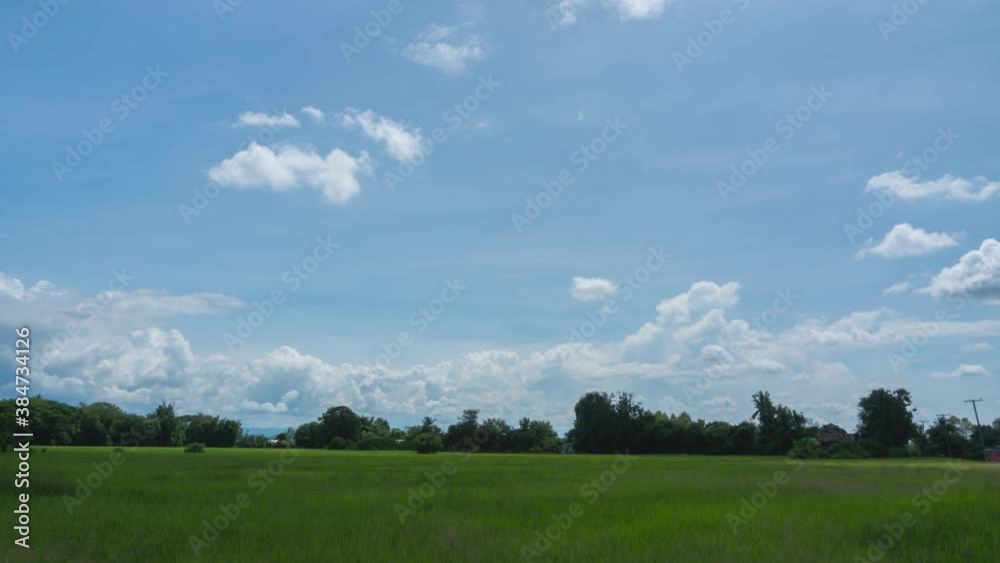 landscape with sky and clouds, Time-lapse of sky horizontal with beautiful fluffy cirrocumulus clouds in clear sunny summer season, clear sky in bright sunny summer day cloudscape 4k cloud video rice landscape with sky and clouds, Time-lapse of sky horizontal with beautiful fluffy cirrocumulus clouds in clear sunny summer season, clear sky in bright sunny summer day cloudscape 4k cloud video rice