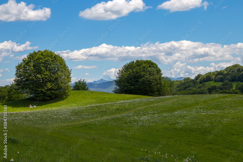 Antola regional natural park, a protected natural area located in Liguria between Genoa interland and the ligurian Apennines, Italy