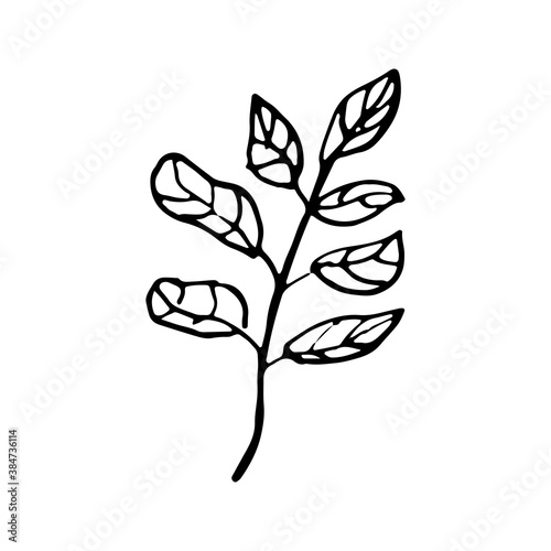 Wildflowers, herbs, leaves. Summer collection.Graphics,doodle. Vector illustration on an isolated white background.For decorating banner, spring holidays.Print, poster, card,packing,wedding invitation