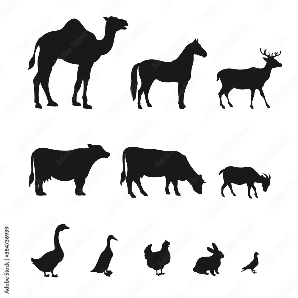 Fototapeta premium Set Of Silhouette Farm Animal Design Vector