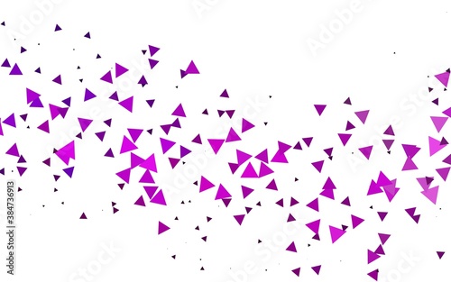 Light Purple vector backdrop with lines  triangles.