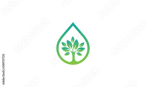 Creative Vector Illustration Logo Design. Water Drop with Tree Leaf Leaves Concept Go Green.